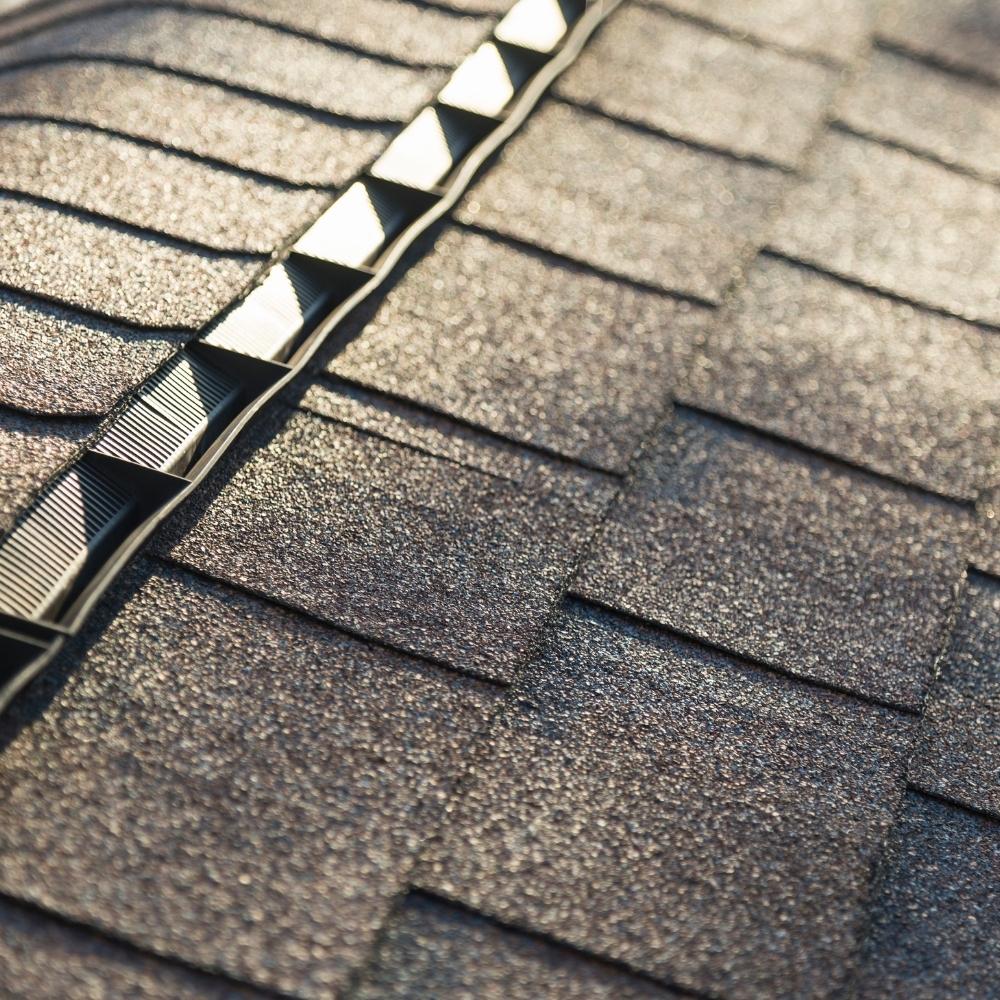 professional roofing replacement