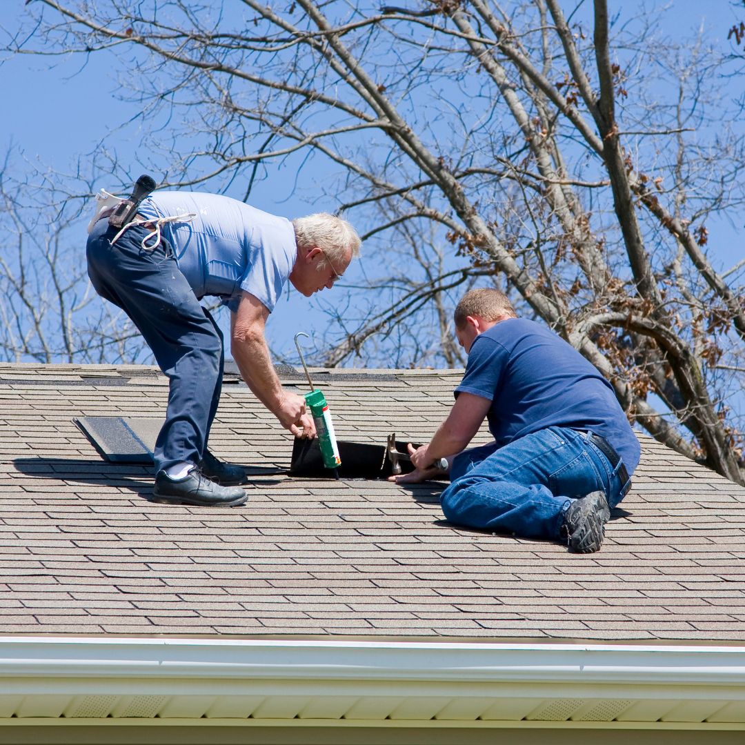 What to Do If Your Roof is Leaking