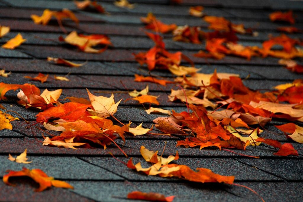 Leaves on Roof can Clog Vent