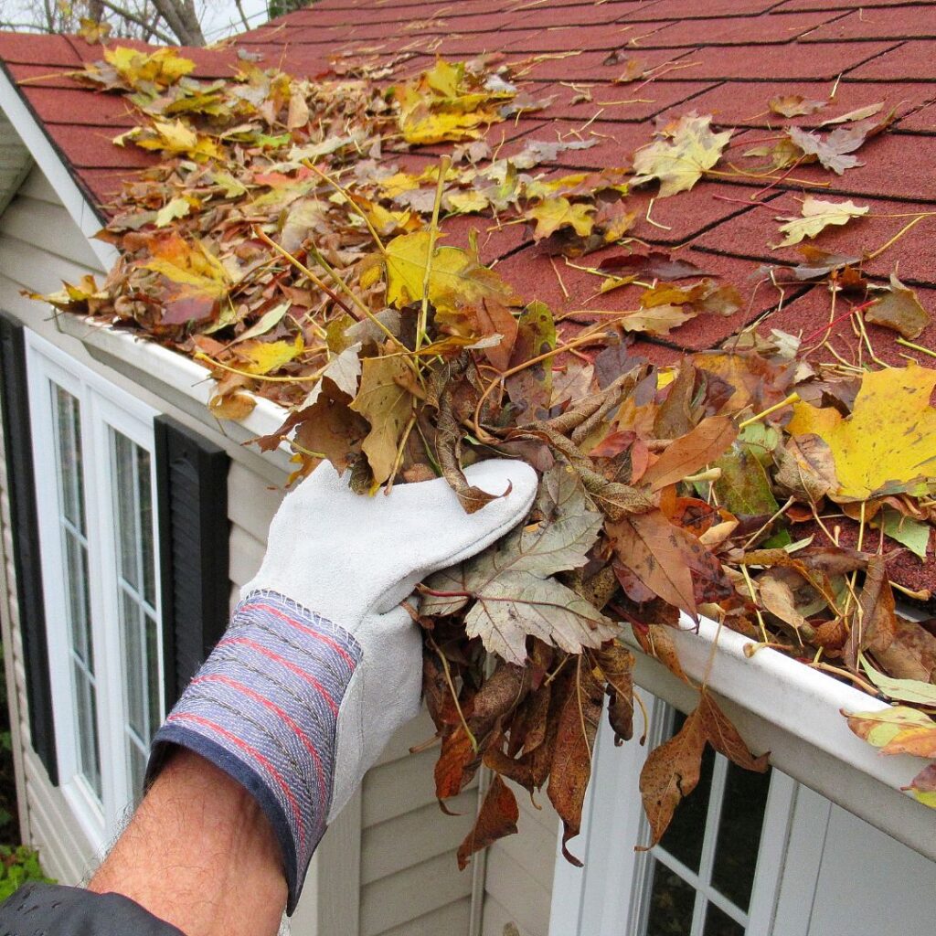 Man cleaning a clogged gutter full of fall leaves with a grey glove on.