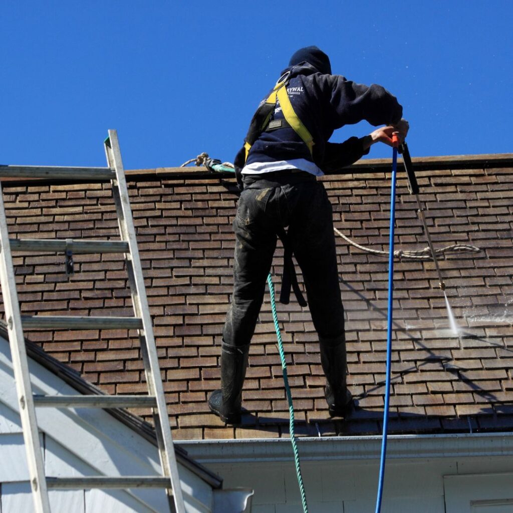 How To Remove Mold from Roof