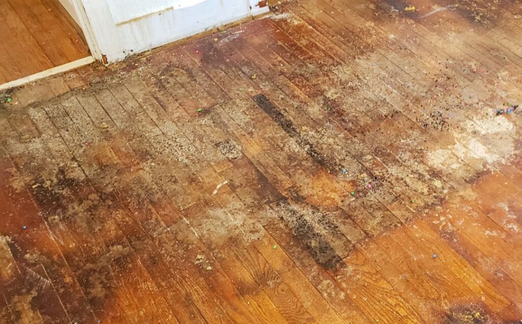 winter floor damage