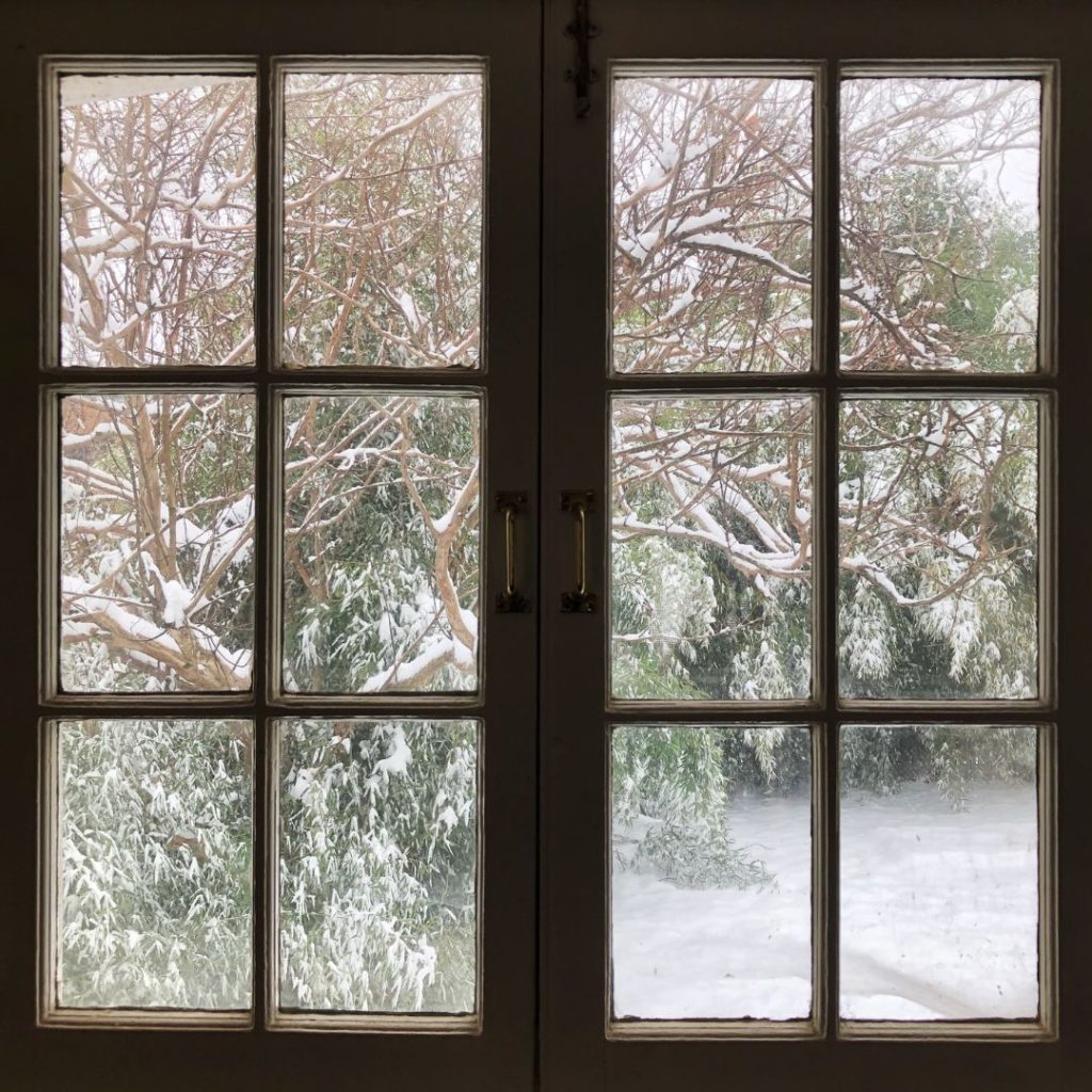 looking out through drafty window to snowy pine trees